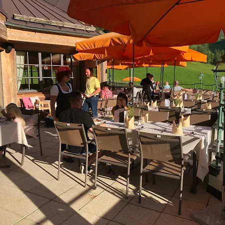 Alpenhof Superior Hotell 4*